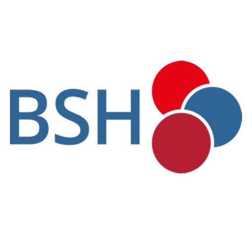 1_BSH_510x475.jpg