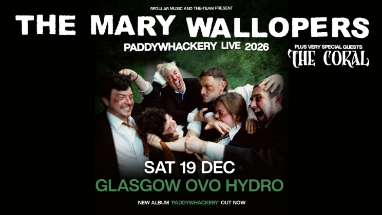 More Info for The Mary Wallopers