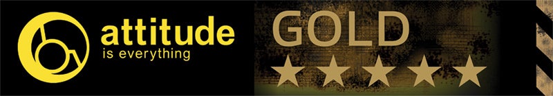 Aie-Gold-Banner_800x140.jpg