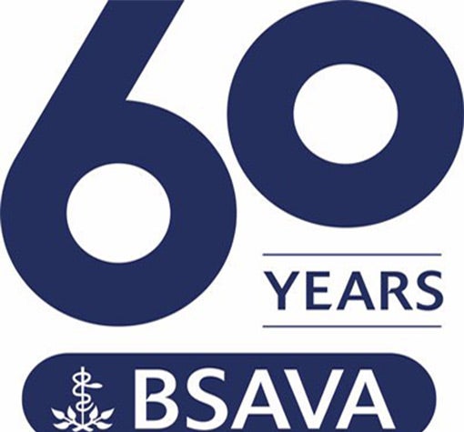 BVASA_510x475.jpg