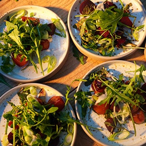 Four side plates of salad on a table.