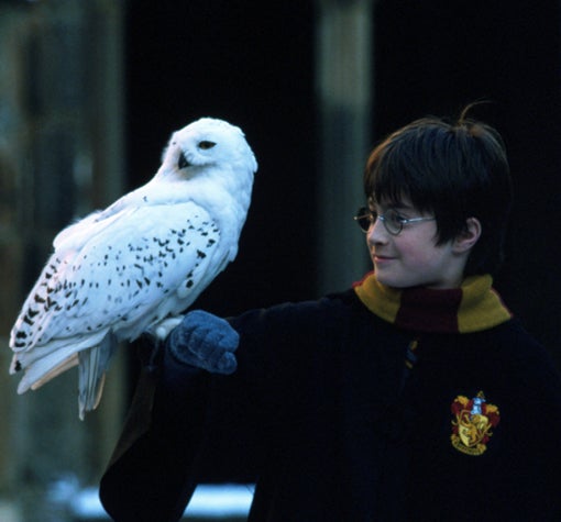 HarryPotter2019_1_510x475.jpg