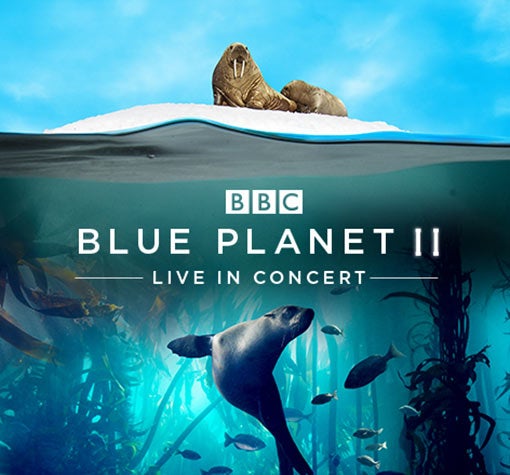 blue planet ii live