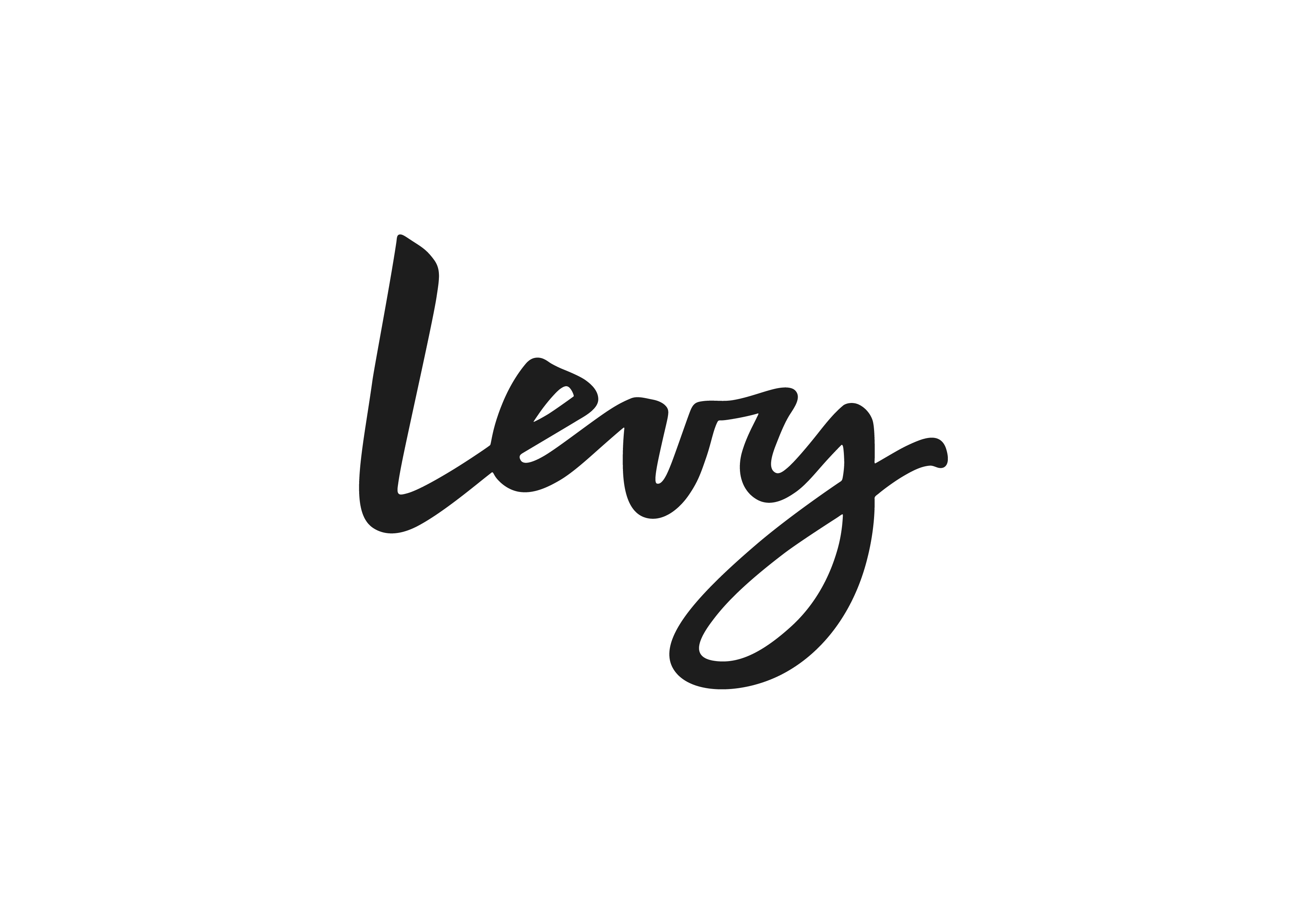 levy_logo_black.png"